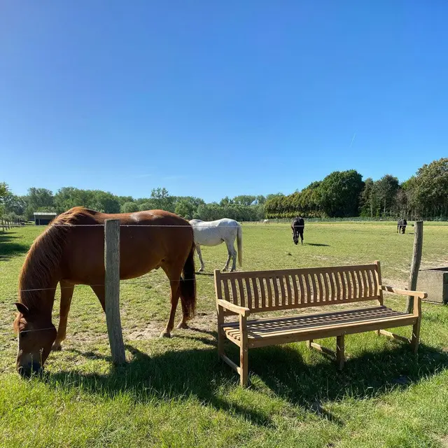Banc en teck Dordogne 210 cm – photo 5