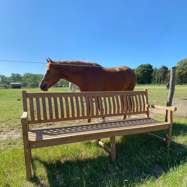 Banc en teck Dordogne 250 cm – photo 4