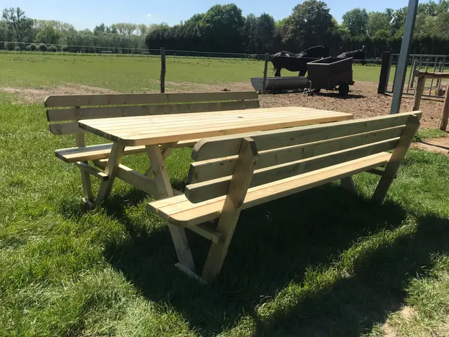 Table de pique-nique KING® 240 cm avec dossiers